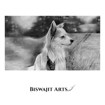 Detailed pencil portrait of a fluffy dog outdoors